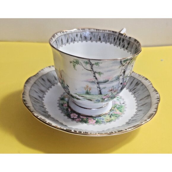 Vintage Royal Albert Silver Birch pattern Cup & Saucer Set - Picture 3 of 9